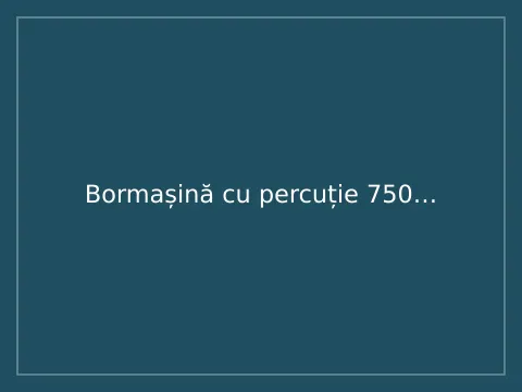 Bormașină cu percuție 750 W