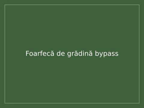Foarfecă de grădină bypass