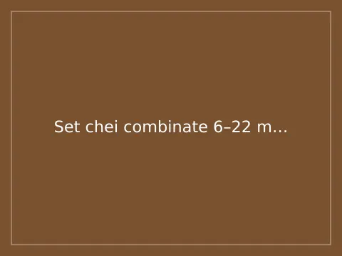 Set chei combinate 6–22 mm, 12 piese