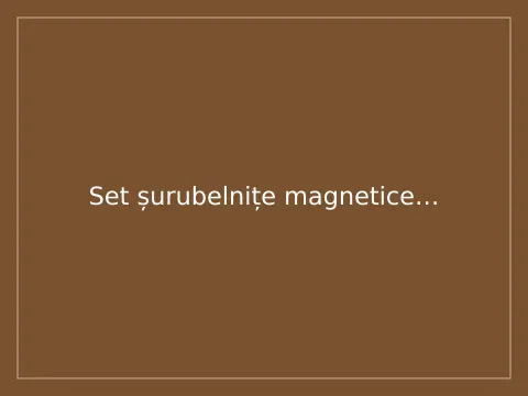 Set șurubelnițe magnetice, 8 piese